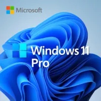 Blue abstract shapes form the background of the "windows 11 pro" image. The microsoft logo is at the top left on a gradient blue backdrop.