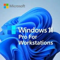 Windows 11 pro for workstations product key
